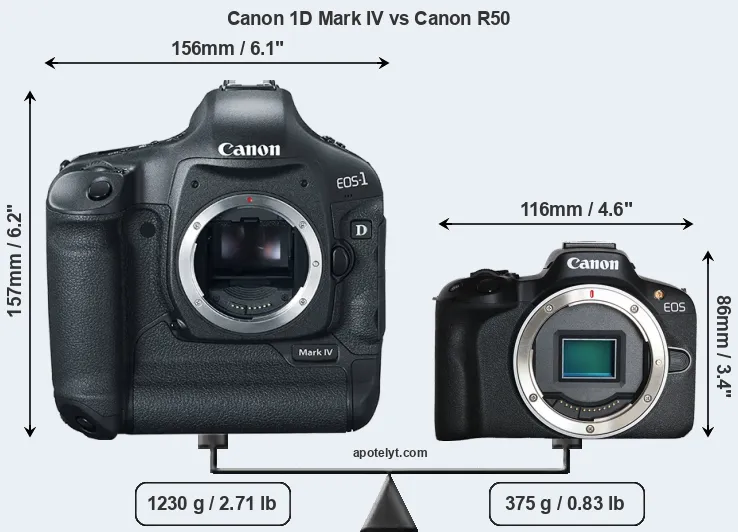 Size Canon 1D Mark IV vs Canon R50