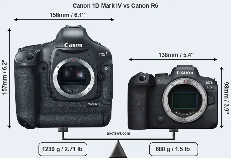 Size Canon 1D Mark IV vs Canon R6