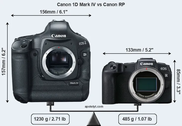 Size Canon 1D Mark IV vs Canon RP