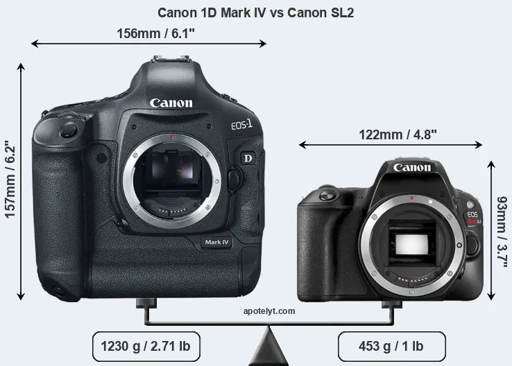 Size Canon 1D Mark IV vs Canon SL2