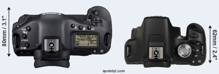 Compare 1D Mark IV versus T1i top