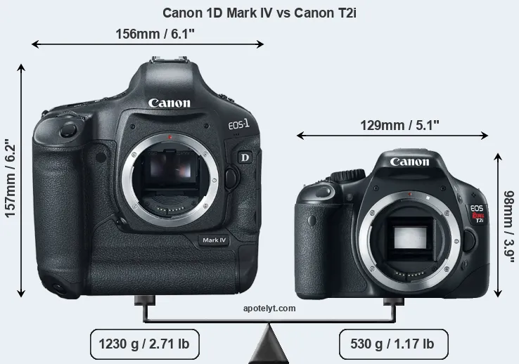 Size Canon 1D Mark IV vs Canon T2i