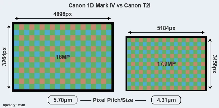 1D Mark IV versus T2i MP