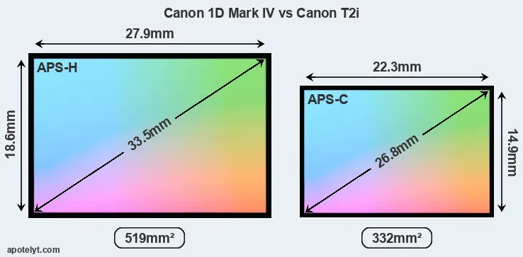 Canon 1D Mark IV and Canon T2i sensor measures