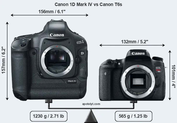 Size Canon 1D Mark IV vs Canon T6s