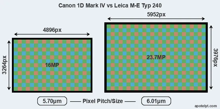 1D Mark IV versus M-E Typ 240 MP