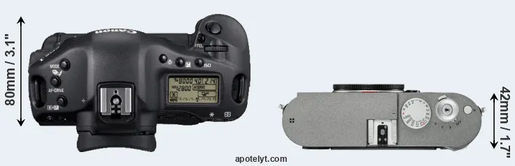Compare 1D Mark IV versus M-E Typ 240 top