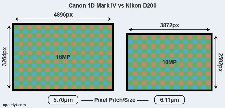 1D Mark IV versus D200 MP