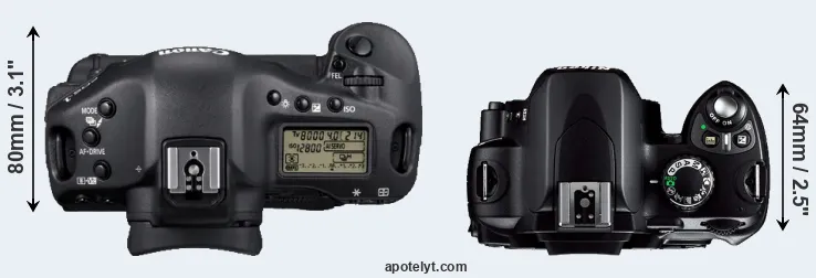 Compare 1D Mark IV versus D40 top