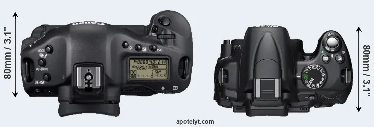 Compare 1D Mark IV versus D5000 top