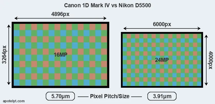 1D Mark IV versus D5500 MP