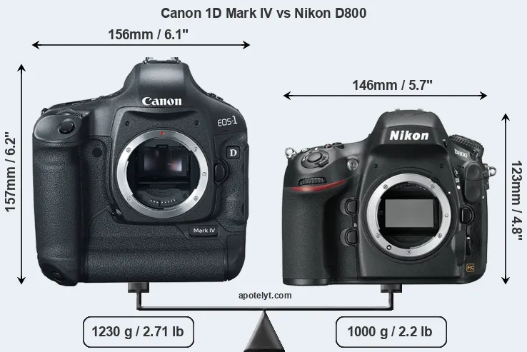 Size Canon 1D Mark IV vs Nikon D800