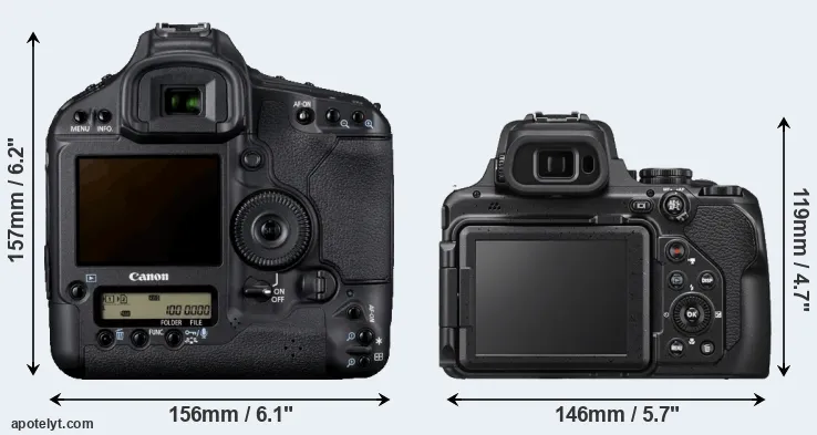 Comparison 1D Mark IV or P1000 rear