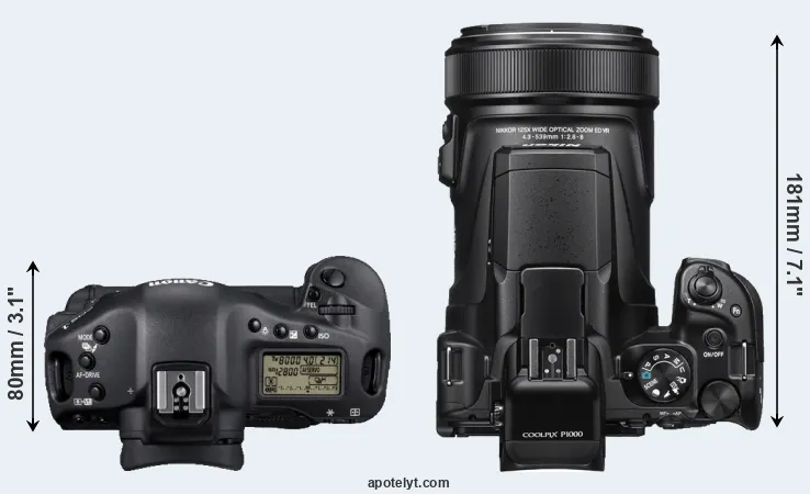 Compare 1D Mark IV versus P1000 top