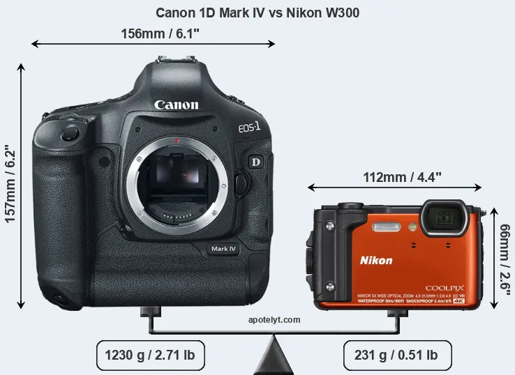 Size Canon 1D Mark IV vs Nikon W300