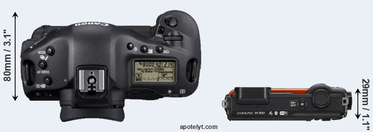 Compare 1D Mark IV versus W300 top