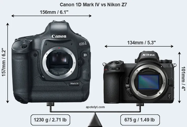 Size Canon 1D Mark IV vs Nikon Z7