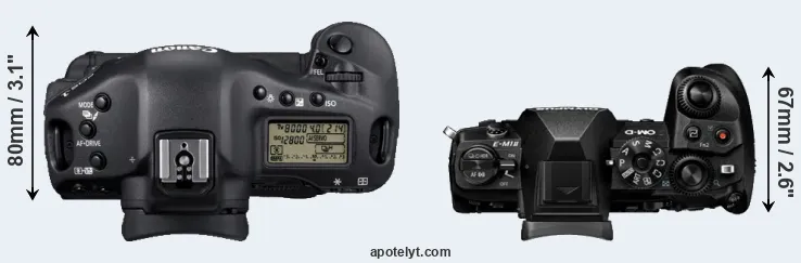 Compare 1D Mark IV versus E-M1 II top