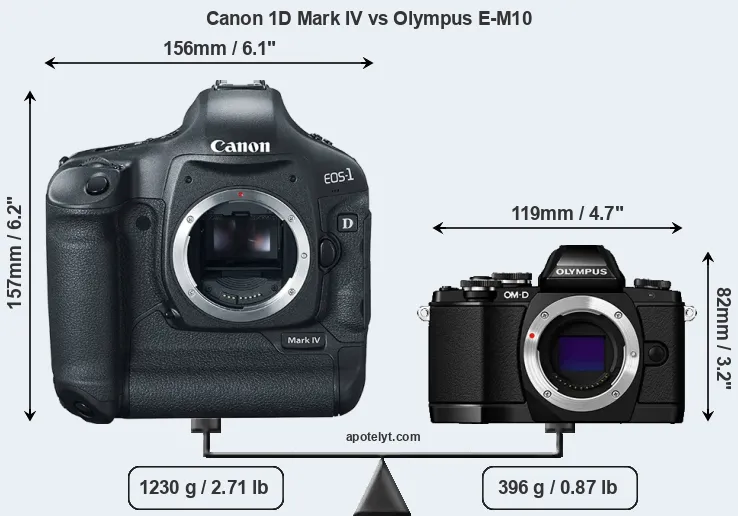 Size Canon 1D Mark IV vs Olympus E-M10