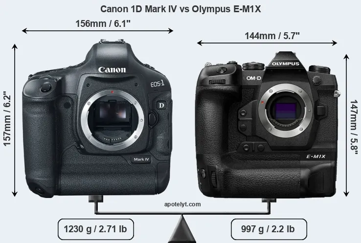 Size Canon 1D Mark IV vs Olympus E-M1X