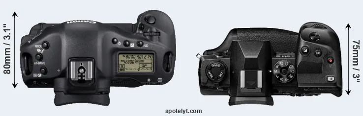 Compare 1D Mark IV versus E-M1X top
