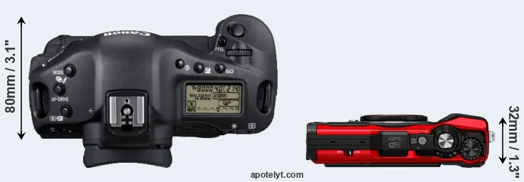 Compare 1D Mark IV versus TG-6 top