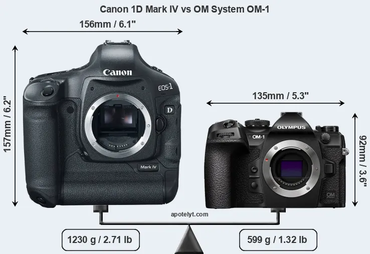 Size Canon 1D Mark IV vs OM System OM-1