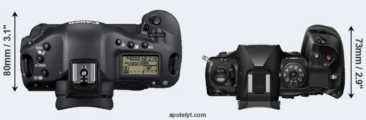 Compare 1D Mark IV versus OM-1 top