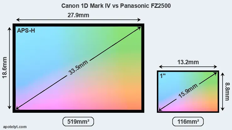 Canon 1D Mark IV and Panasonic FZ2500 sensor measures