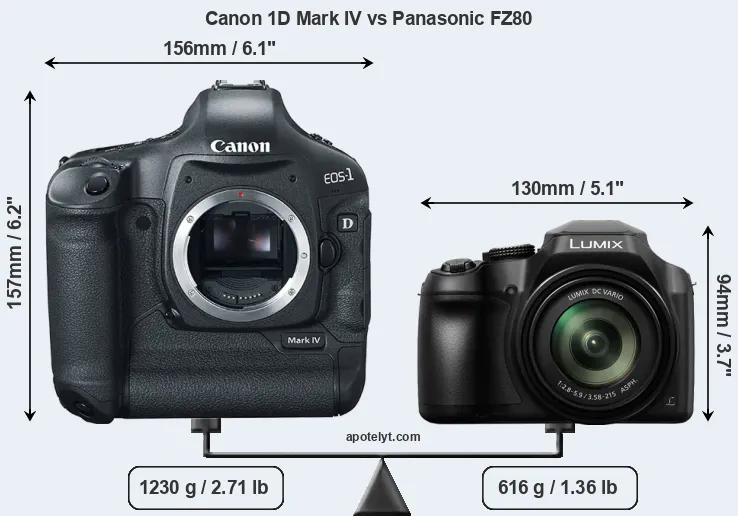 Size Canon 1D Mark IV vs Panasonic FZ80