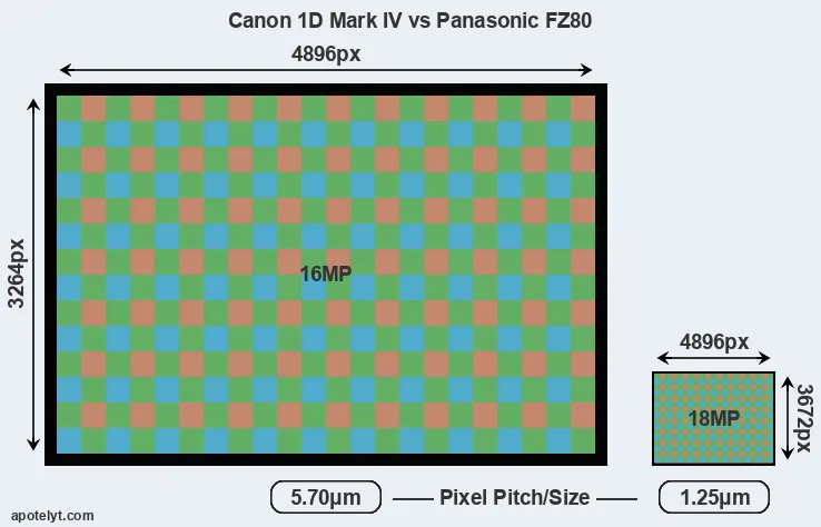 1D Mark IV versus FZ80 MP