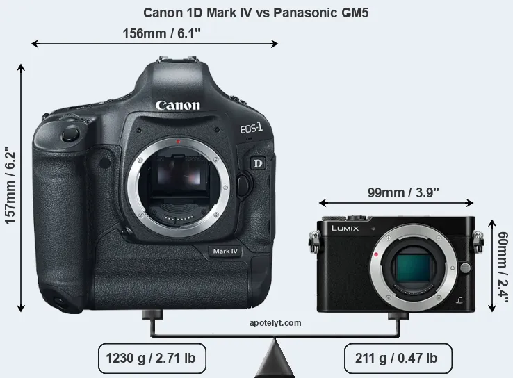 Size Canon 1D Mark IV vs Panasonic GM5