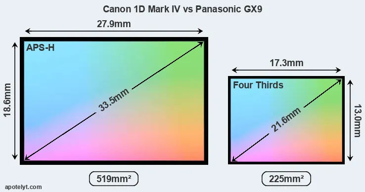 Canon 1D Mark IV and Panasonic GX9 sensor measures