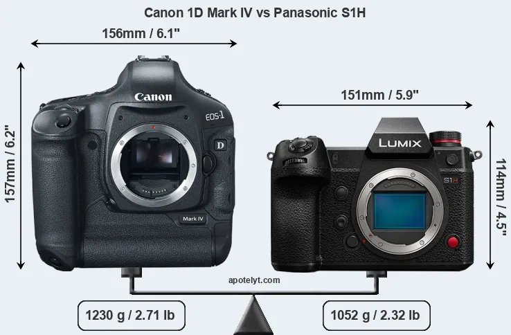 Size Canon 1D Mark IV vs Panasonic S1H