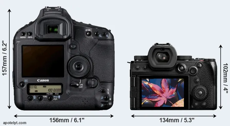 Comparison 1D Mark IV or S5 II rear