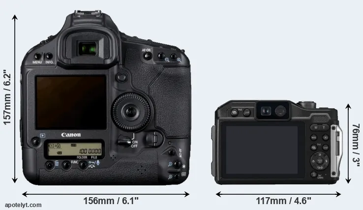 Comparison 1D Mark IV or TS7 rear
