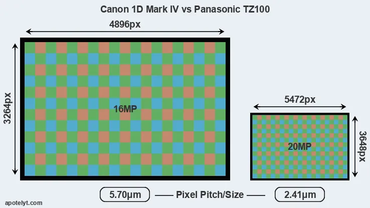 1D Mark IV versus TZ100 MP