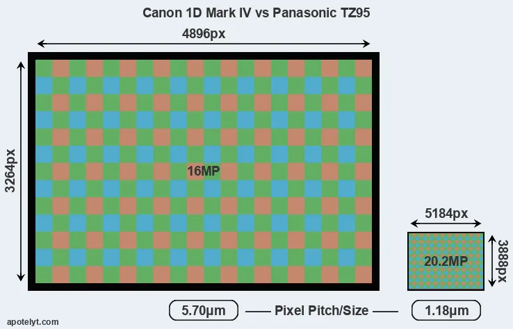 1D Mark IV versus TZ95 MP