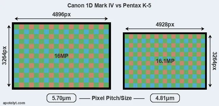 1D Mark IV versus K-5 MP