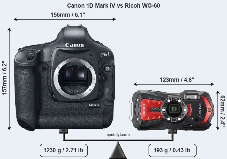 Size Canon 1D Mark IV vs Ricoh WG-60