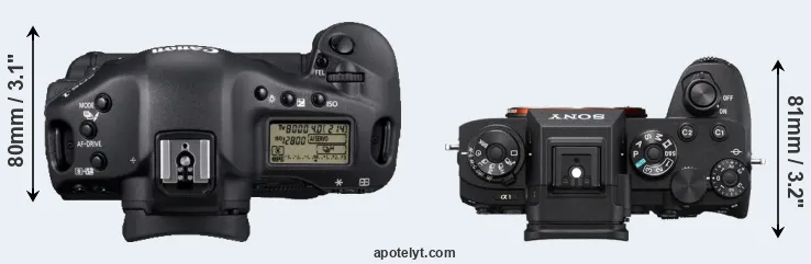 Compare 1D Mark IV versus A1 top