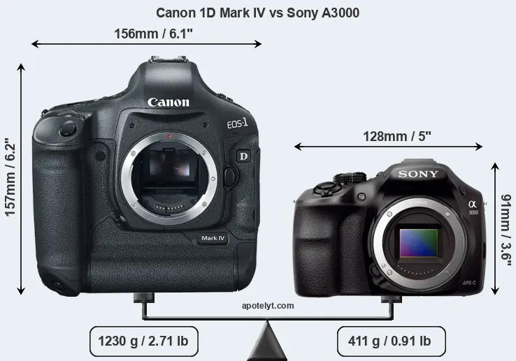 Size Canon 1D Mark IV vs Sony A3000