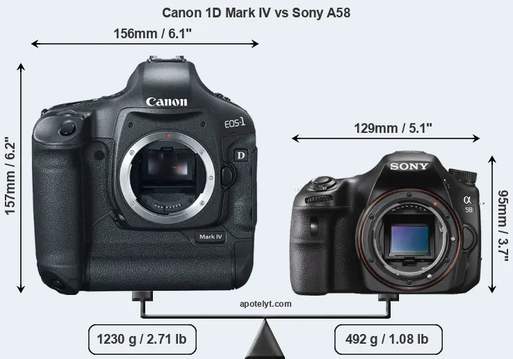 Size Canon 1D Mark IV vs Sony A58