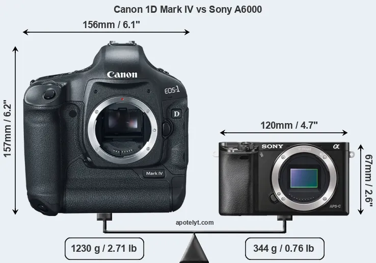 Size Canon 1D Mark IV vs Sony A6000