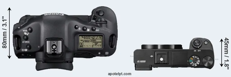 Compare 1D Mark IV versus A6000 top