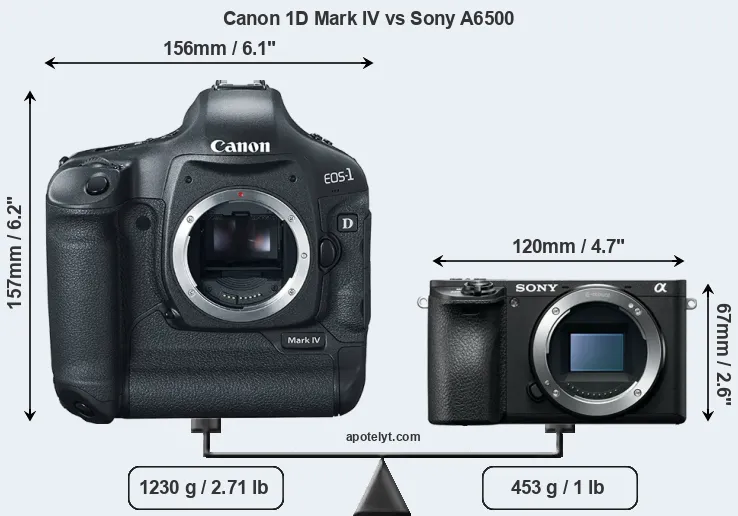 Size Canon 1D Mark IV vs Sony A6500