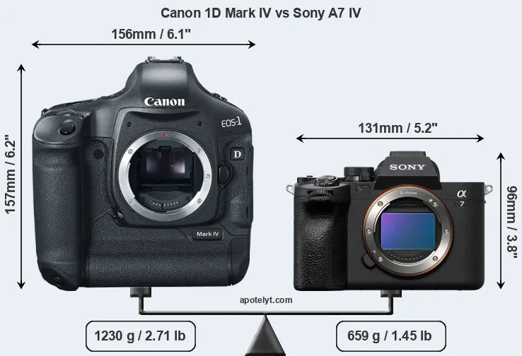 Size Canon 1D Mark IV vs Sony A7 IV