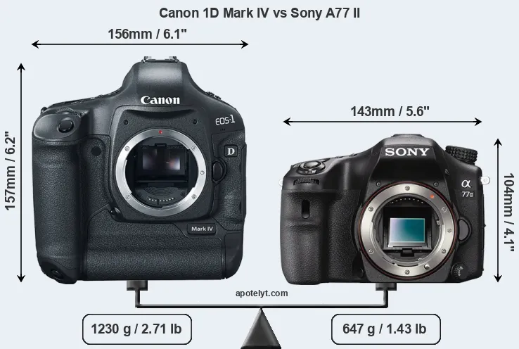 Size Canon 1D Mark IV vs Sony A77 II