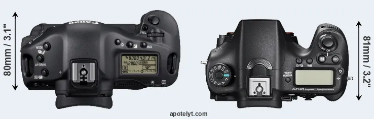 Compare 1D Mark IV versus A77 II top
