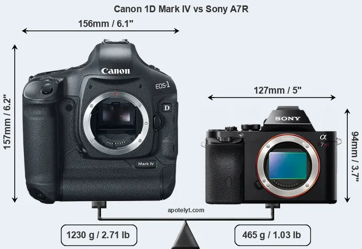 Size Canon 1D Mark IV vs Sony A7R
